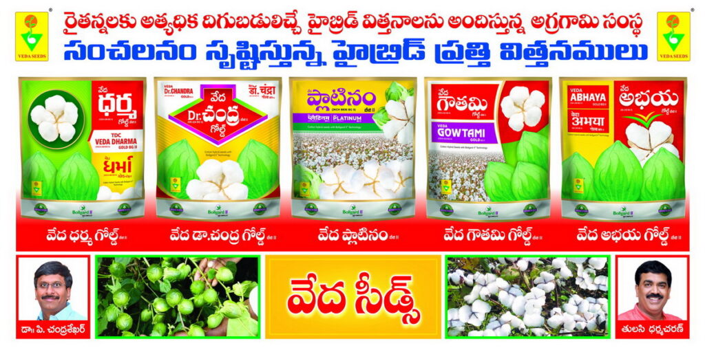 Veda Hybrid Cotton Seeds